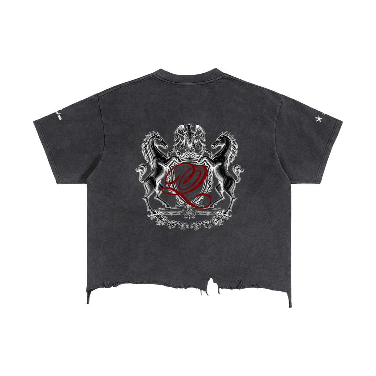 Vintage Wash Boxy Distressed Hem T-Shirt